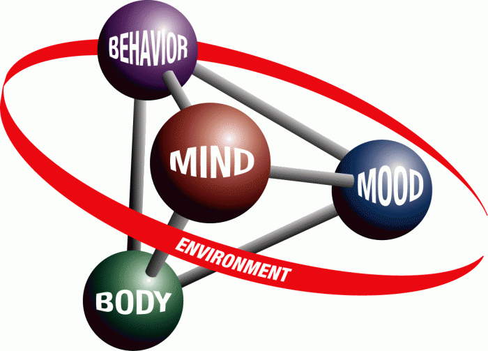 CBT enables one to see the relationships between the different parts of our experience.